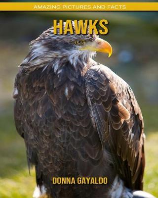 Book cover for Hawks