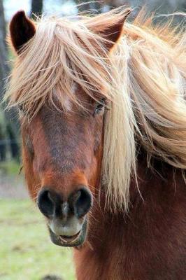 Book cover for Haflinger Horse with a Wind Swept Mane Journal