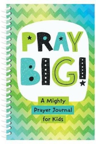 Cover of Pray Big!