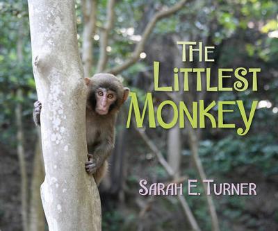 Book cover for The Littlest Monkey