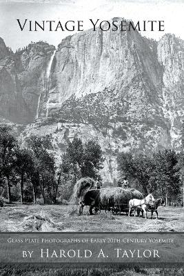 Book cover for Vintage Yosemite