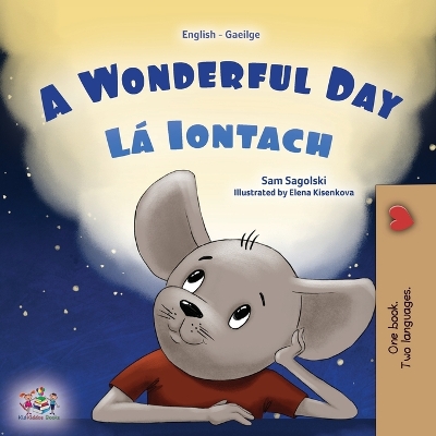 Book cover for A Wonderful Day (English Irish Bilingual Children's Book)