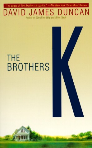 Book cover for The Brothers K
