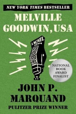 Cover of Melville Goodwin, USA