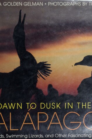 Cover of Dawn to Dusk in the Galapagos
