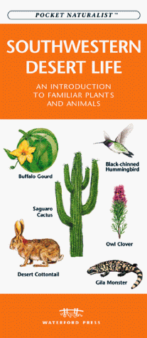 Cover of Southwestern Desert Life