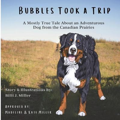 Book cover for Bubbles Took a Trip