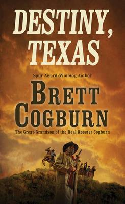 Book cover for Destiny, Texas