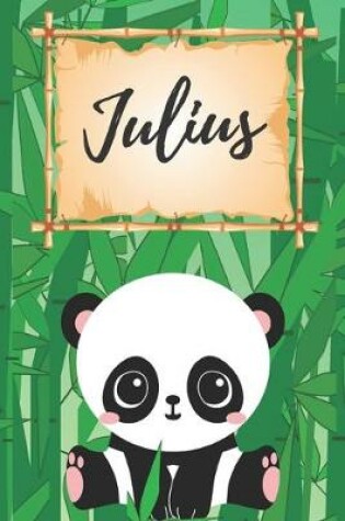 Cover of personalisiertes Notizbuch Panda / Malbuch / Kritzelbuch / Tagebuch / Journal / Notizheft / DIN A5 / Geschenke Julius