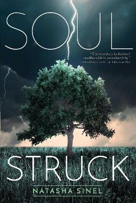Book cover for Soulstruck