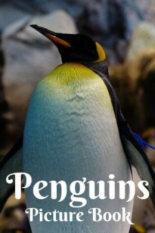 Cover of Penguins Picture Book