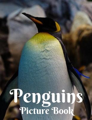 Book cover for Penguins Picture Book