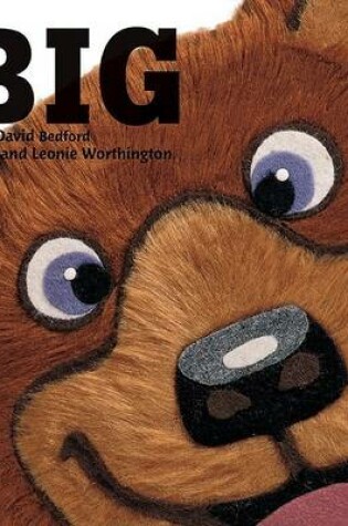 Cover of Big!