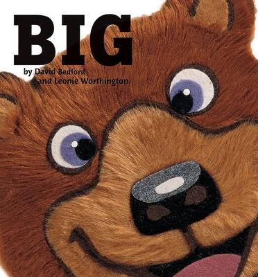 Book cover for Big!