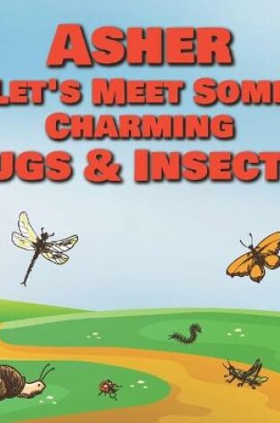 Cover of Asher Let's Meet Some Charming Bugs & Insects!