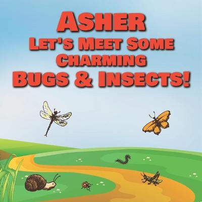 Book cover for Asher Let's Meet Some Charming Bugs & Insects!
