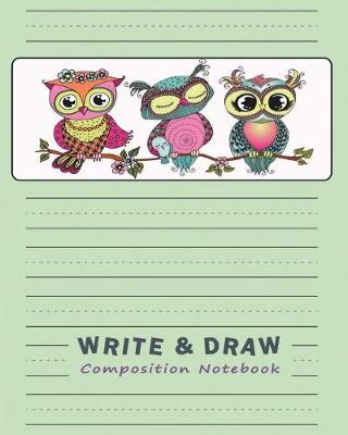 Book cover for Primary Composition Notebook Draw and Write