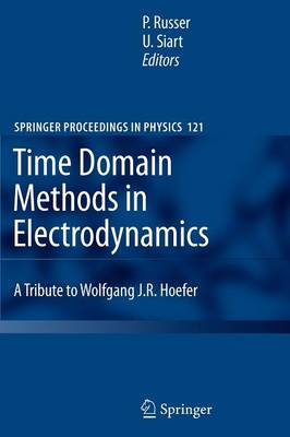 Book cover for Time Domain Methods in Electrodynamics