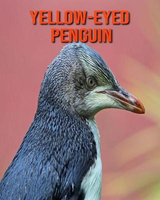 Book cover for Yellow-Eyed Penguin