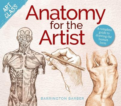 Book cover for Anatomy for the Artist