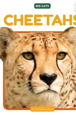 Cover of Cheetahs