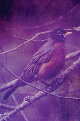 Book cover for American Robin in Purple, Birds of the World