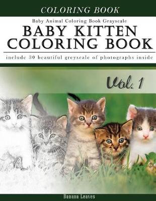 Book cover for Baby Kitten Coloring Book Baby Animal Coloring Book Grayscale