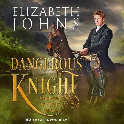 Book cover for Dangerous Knight