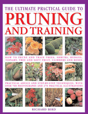 Book cover for Pruning