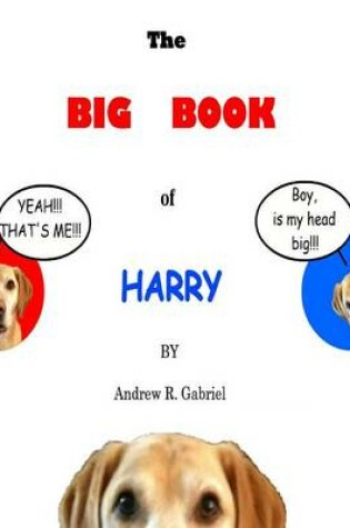 Cover of The Big Book of Harry