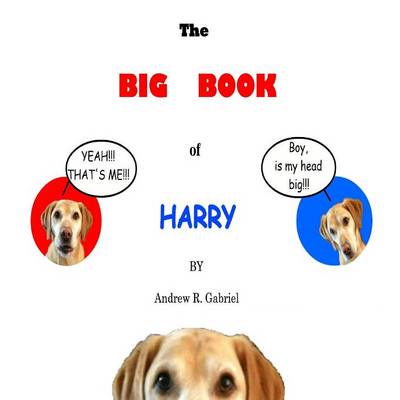 Book cover for The Big Book of Harry