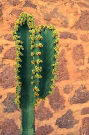 Cover of Cactus In Front of a Stonewall Journal