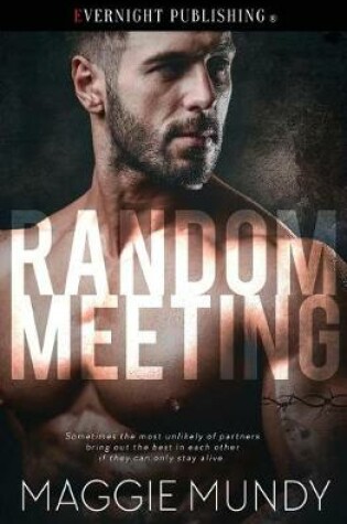 Cover of Random Meeting