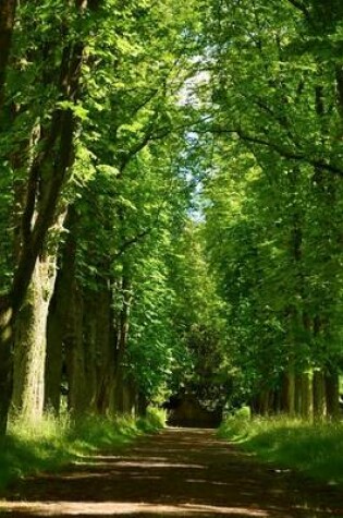 Cover of Branches Growing Over a Dirt Road in the Woods