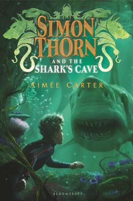 Book cover for Simon Thorn and the Shark's Cave