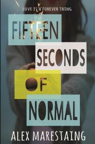 Cover of Fifteen Seconds of Normal