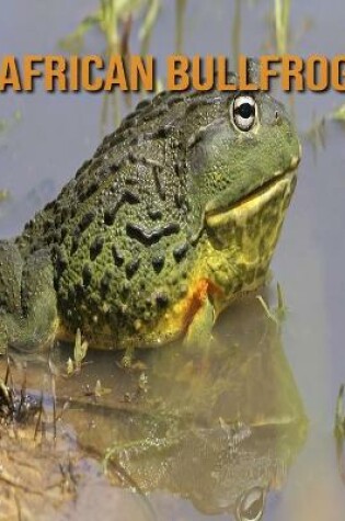 Cover of African Bullfrog