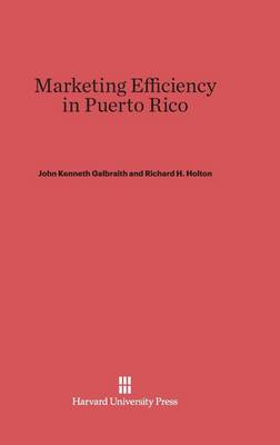 Book cover for Marketing Efficiency in Puerto Rico