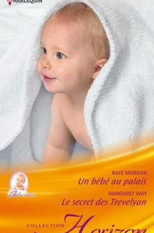 Cover of Un Bebe Au Palais - Le Secret Des Trevelyan