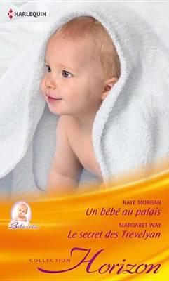 Book cover for Un Bebe Au Palais - Le Secret Des Trevelyan