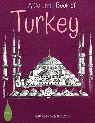Book cover for A Coloring Book of Turkey