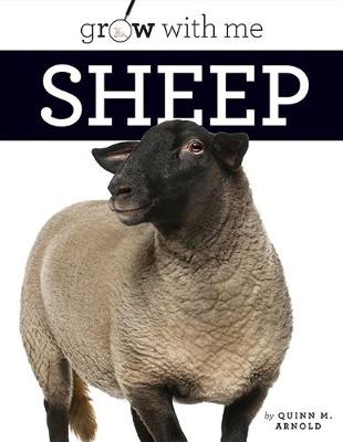 Cover of Sheep