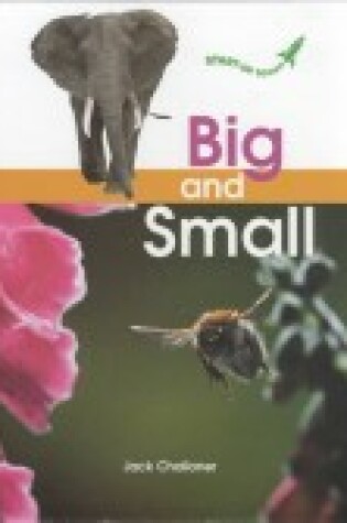 Cover of Big and Small