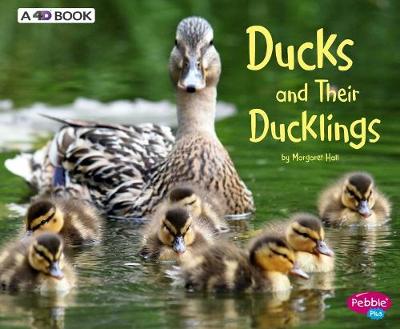 Book cover for Ducks and Their Ducklings: A 4D Book