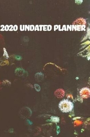 Cover of 2020 Undated Planner