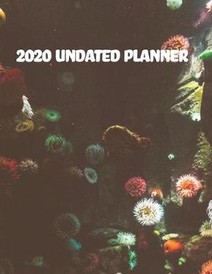 Cover of 2020 Undated Planner