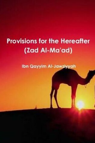 Cover of Provisions for the Hereafter