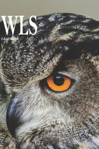 Cover of Owls