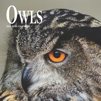 Book cover for Owls