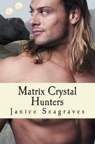 Cover of Matrix Crystal Hunters